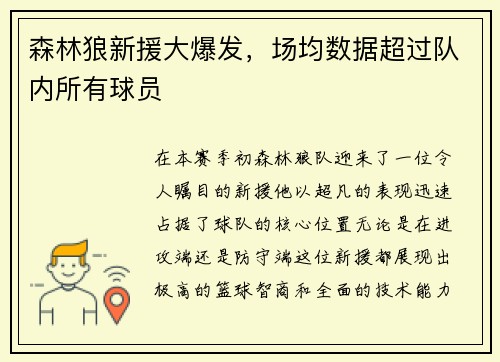森林狼新援大爆发，场均数据超过队内所有球员
